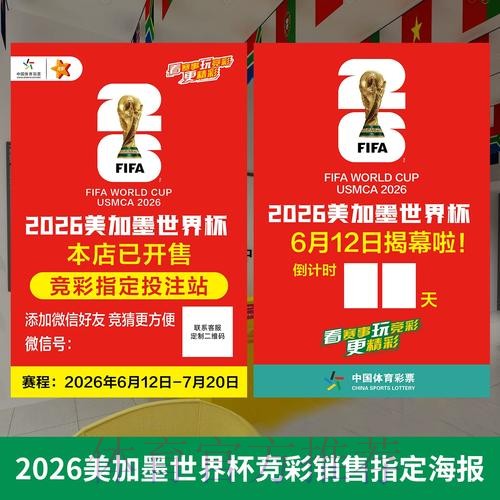 2026年世界杯投注软件评测与使用指南